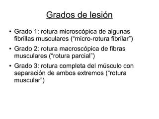 Roturas fibrilares presentacion | ODP