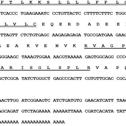 Nucleotide And Translated Open Reading Frame Amino Acid Sequences Of