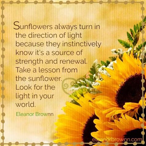 Meaningful Sunflower Quotes