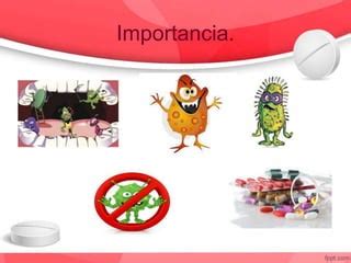 antimicrobianos usados en odontología PPT