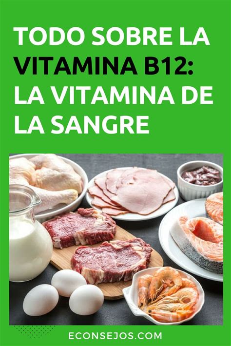 Descubre cuánta vitamina B12 puedes ingerir según edad Nutricion y