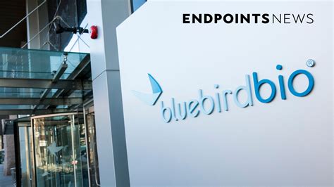 Bluebird Submits Sickle Cell Gene Therapy To Fda Setting Up Race With