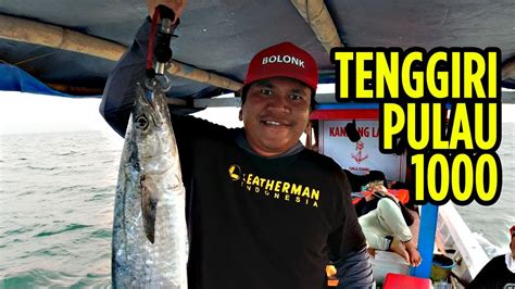 Mancing Ikan Tenggiri Di Kepulauan Seribu Predatornya Ganas YouTube