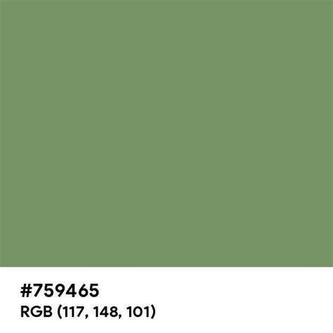 Jade Green color hex code is #759465 | Jade green color, Hex color ...