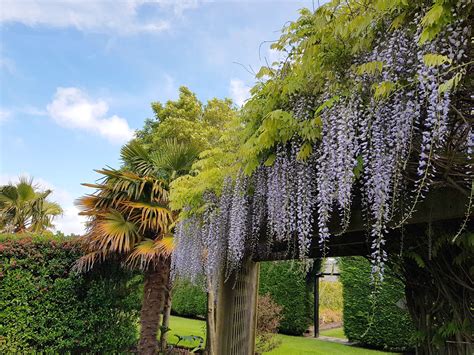 Gardens to visit - Longwood