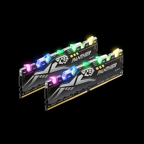 Panther Rage Ddr Rgb Apacer Kombiniert Neue Leds Und Bekanntes Design