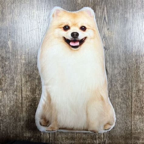 Pomeranian Stuffed Animals | stuffed-animals.org