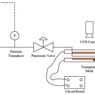 Process diagram. Process diagram. | Download Scientific Diagram