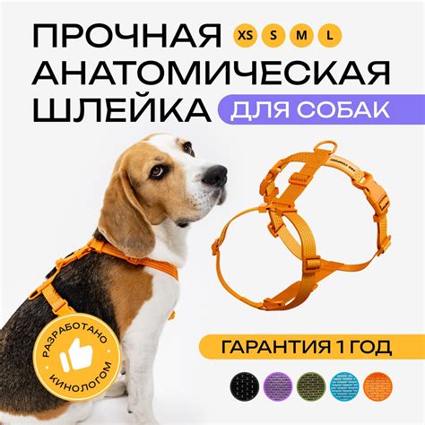 Ошейники и поводки для собак PRO COMFORT – купить в интернет-магазине ...
