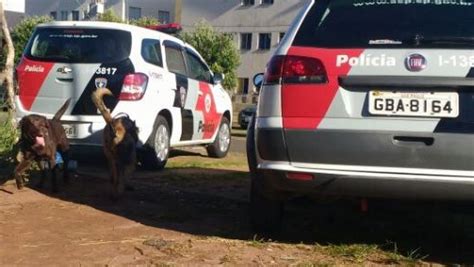 Cães farejadores localizam drogas no cracovil Portal Morada