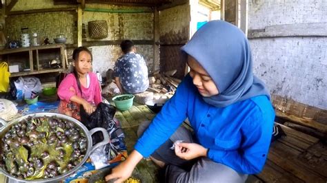 Memasak Tutut Di Saung Sawah Ala Gadis Desa Rasanya Bikin Ngegas