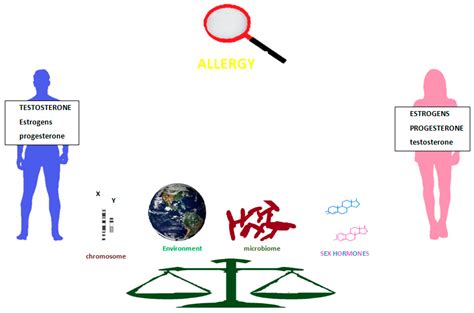 Sex And Gender Aspects For Patient Stratification In Allergy Prevention