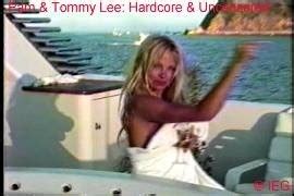 Pam Tommy Lee Hardcore Movie Review By Flash