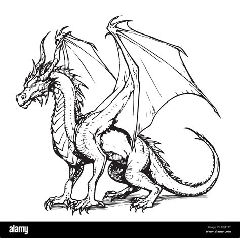 Fantasy Dragon Sitting Sketch Illustration Myths And Legends Stock