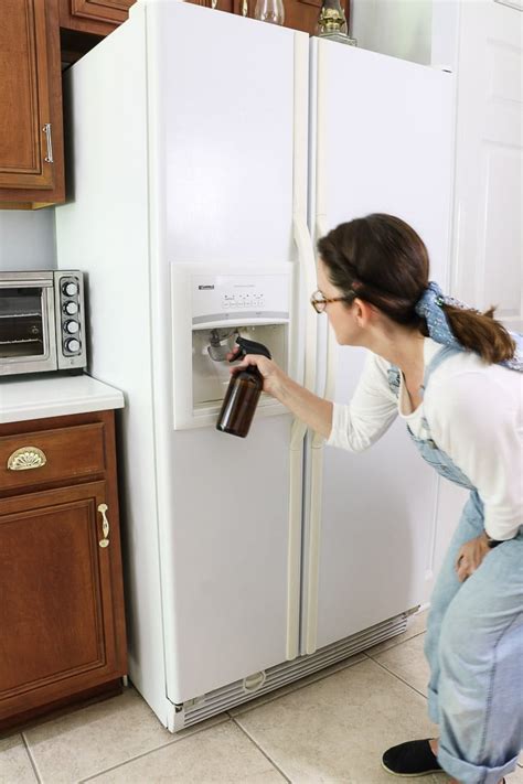 HOW TO CLEAN FRIDGE WATER DISPENSER AND ICE MAKER