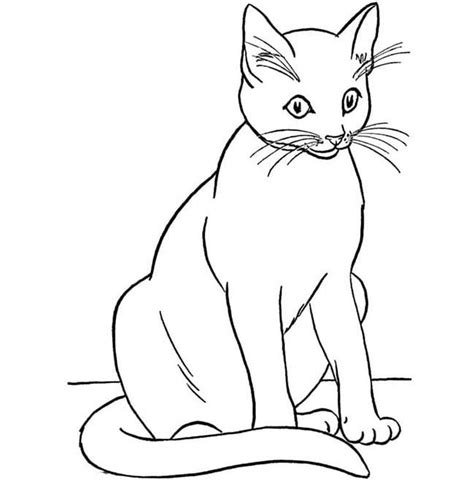 Cat Shape Template Animal Templates Free And Premium Templates