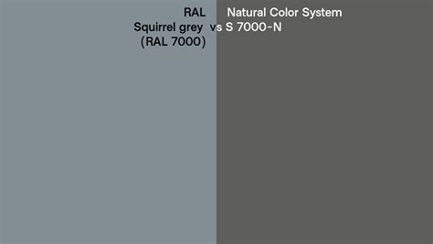 Ral Squirrel Grey Ral 7000 Vs Natural Color System S 7000 N Side By