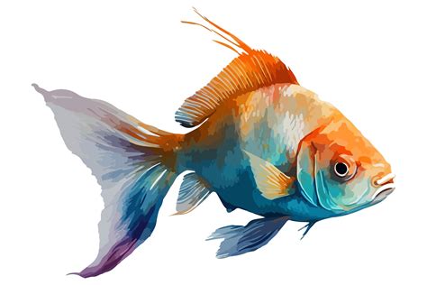 Watercolor Fish Vector Illustration Graphic By BreakingDots Creative