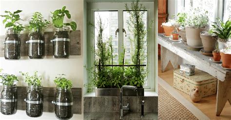 6 Ideas For the Perfect Indoor Garden - Urban Cultivator