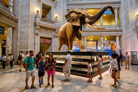 Best Museums In Washington DC To Visit Right Now Thrillist