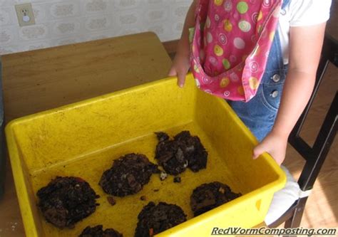 Vermicomposting Pancakes! - Red Worm Composting