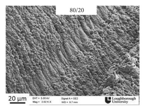 Sem Micrographs Of Fracture Surfaces From The Tensile Tests Of Pbat Pla