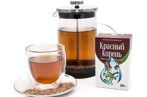 Красный корень (копеечник)? 17 лечебных свойств, польза и вред, отзывы