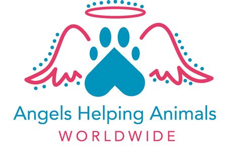 Adopt — Angels Helping Animals Worldwide - Martha's Vineyard