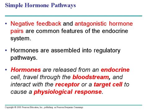 Chapter Hormones And The Endocrine System Overview