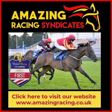 Racehorse For Sale Racehorse Listings Racehorse Uk