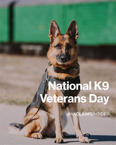 National K9 Veterans Day