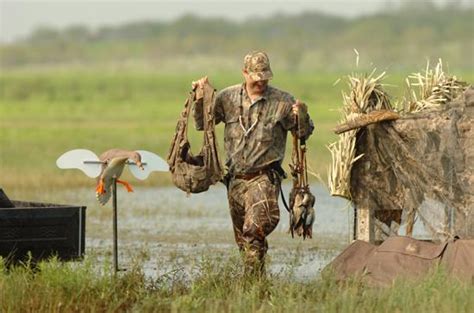 Tips for Hunting Early Teal