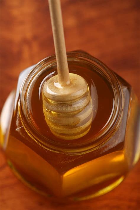 Fresh honey stock image. Image of bear, cure, sticky - 11093845