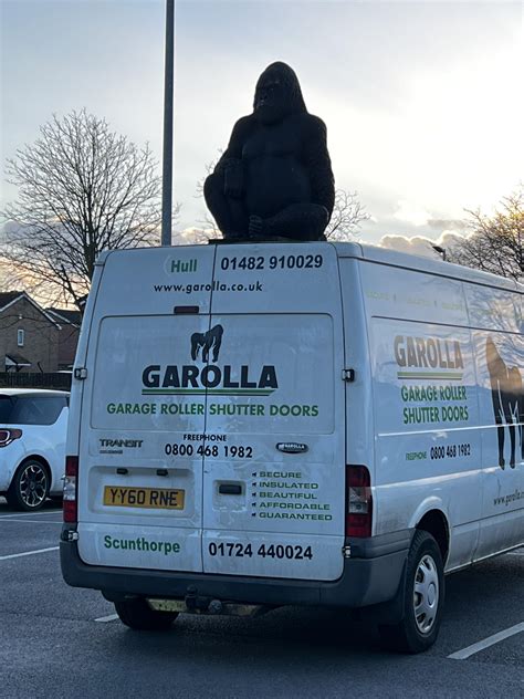Unexpected gorilla sighting today : r/CasualUK