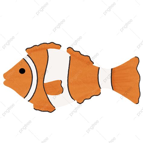 Cute Clown Fish Clipart Vector Cartoon Clown Fish Hand Drawn Fish