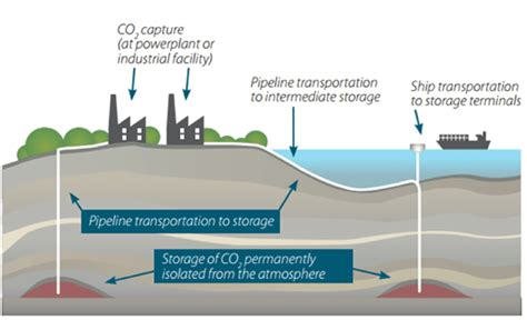 Cattura E Stoccaggio Della CO2 Rilegno