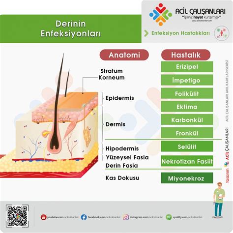 Deri Ve Yumu Ak Doku Nfeksiyonlar Acil Al Anlar