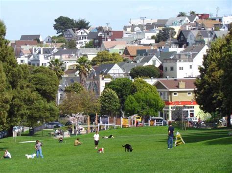 Precita Park Café Is A Hotspot In San Franciscos Bernal Heights