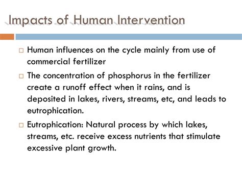 Ppt Phosphorus Cycle Powerpoint Presentation Id253180