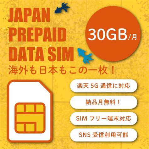 楽天モバイル プリペイド Simカード 30gb 12ヶ月プリペイドプラン 1年 360日間 楽天回線 Au 国際ローミング利用可能 データ