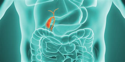 What Is Cholangiocarcinoma Gi Cancer