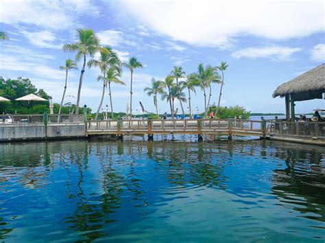 Robbie’s Marina Islamorada - MiaRentals Blog