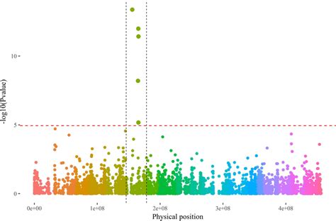 Manhattan Plot Of Gwas P K Model Conducted On Sex Determination