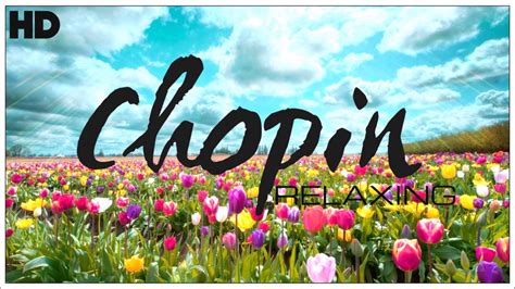 The Best Relaxing Classical Music Ever By Chopin Relaxation