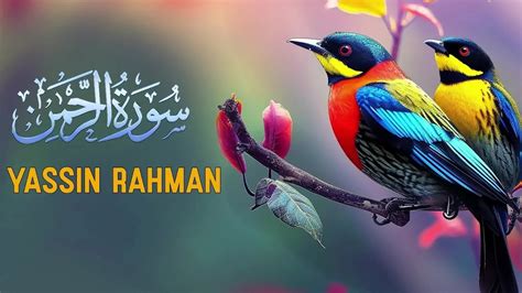 Surah Ar Rahman سورة الرحمن This Voice will TOUCH your HEART إن