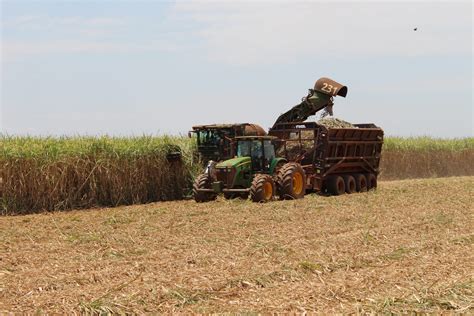 Cana de açúcar moagem atinge 44 milhões de toneladas em MS BioSul