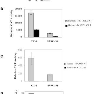 The Smad Signaling Pathway A Schematic Representation Of The Smad