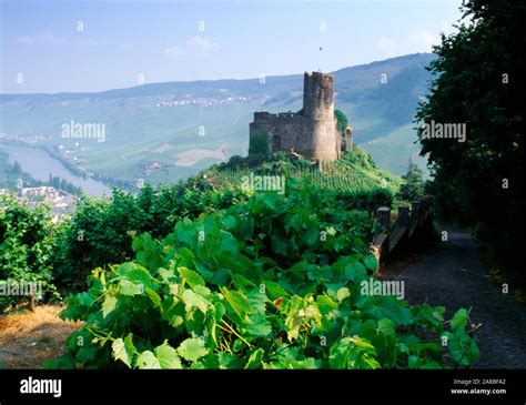 Landshut Castle in Bernkastel-Kues, Rhineland-Palatinate, Germany Stock ...