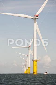 Photograph The Walney Offshore Wind Farm Consists Of 102 3 6 MW