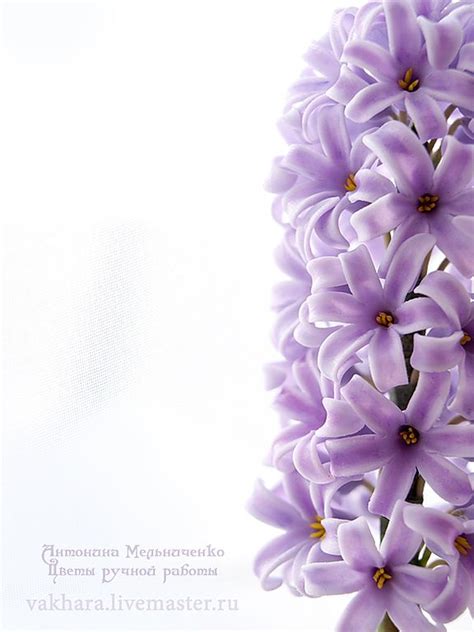 Гиацинт сиреневый в интернет-магазине на Ярмарке Мастеров | Москва ...